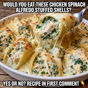 Chicken Spinach Alfredo Stuffed Shells