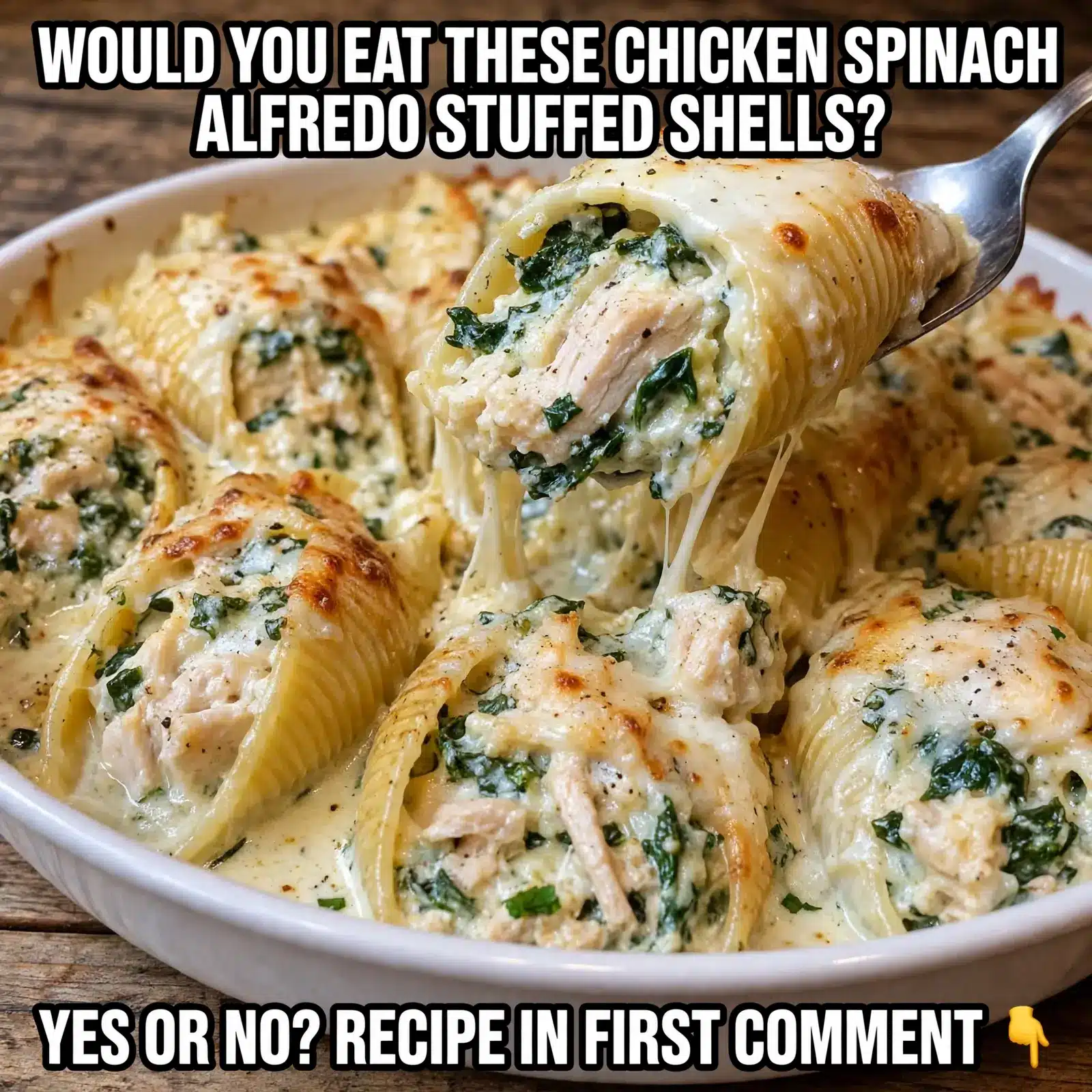 Chicken Spinach Alfredo Stuffed Shells
