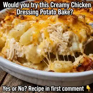 creamy chicken potato bake