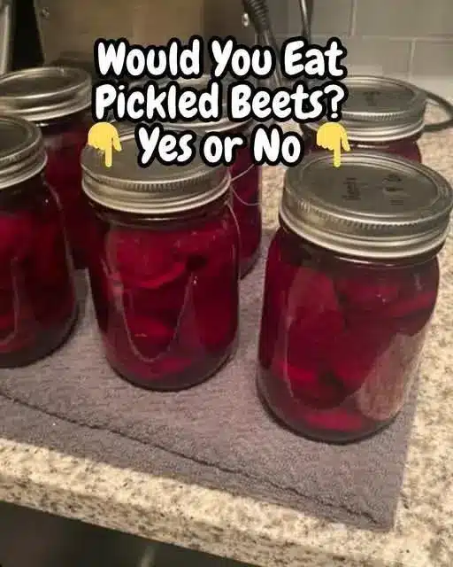 pickled beets recipe