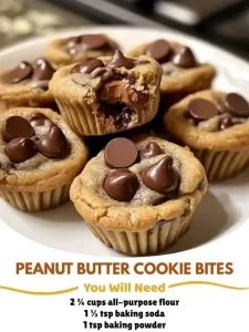 peanut butter chocolate chip cookie bites